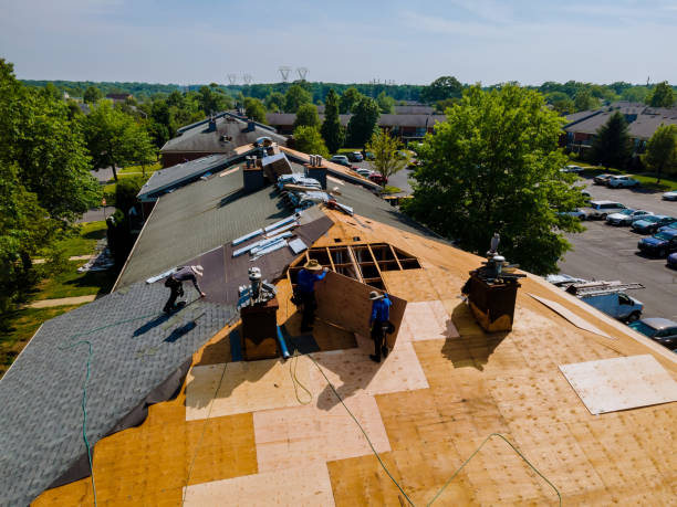 Residential Roof Replacement in Lakeview, MI