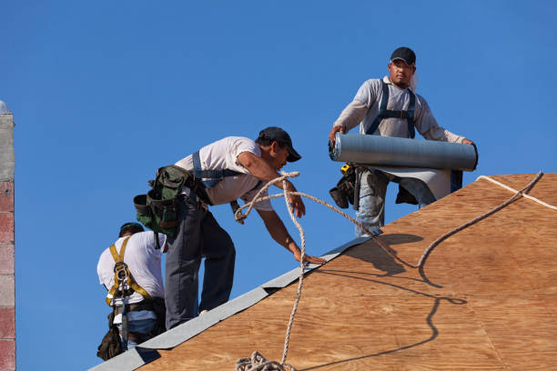 Best Roof Maintenance Services  in Lakeview, MI